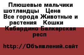 Плюшевые мальчики шотландцы › Цена ­ 500 - Все города Животные и растения » Кошки   . Кабардино-Балкарская респ.